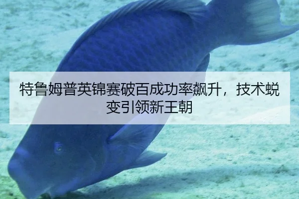 特鲁姆普英锦赛破百成功率飙升，技术蜕变引领新王朝