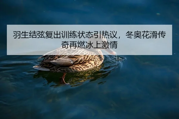 羽生结弦复出训练状态引热议，冬奥花滑传奇再燃冰上激情