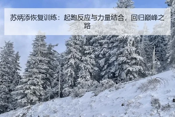 su-bing-tian-hui-fu-xun-lian-qi-pao-fan-ying-yu-li-liang-jie-he-hui-gui-dian-feng-zhi-lu-3-282.jpg