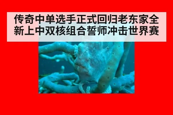 传奇中单选手正式回归老东家全新上中双核组合誓师冲击世界赛