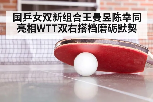ping pong training