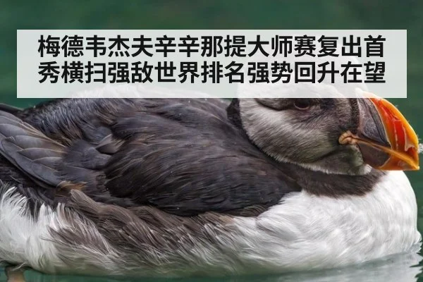 梅德韦杰夫辛辛那提大师赛复出首秀横扫强敌世界排名强势回升在望