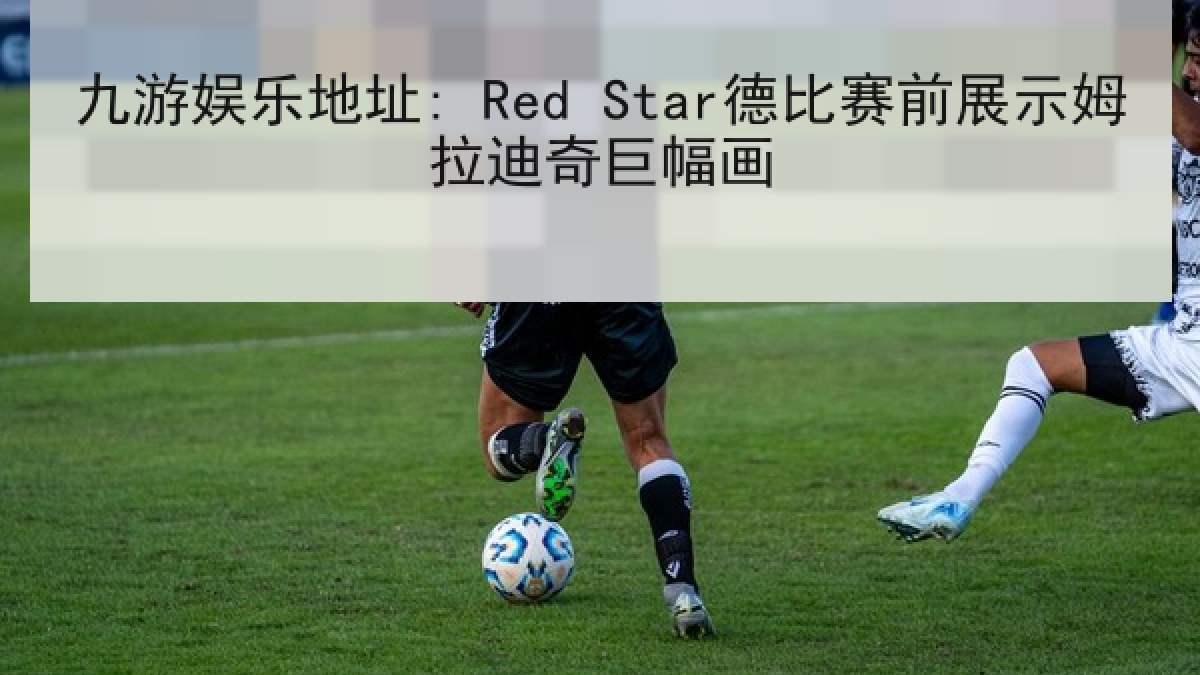 九游娱乐地址: Red Star德比赛前展示姆拉迪奇巨幅画