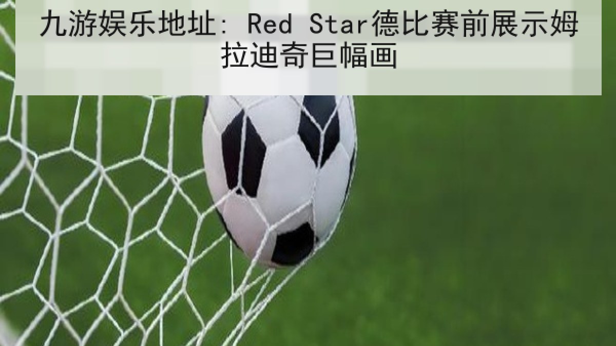 九游娱乐地址: Red Star德比赛前展示姆拉迪奇巨幅画